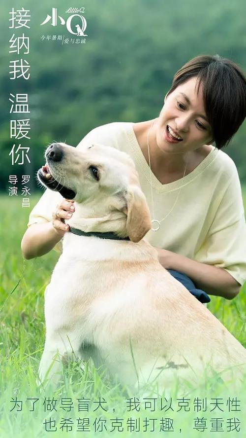 锡格马林根应用技术大学 Certificate